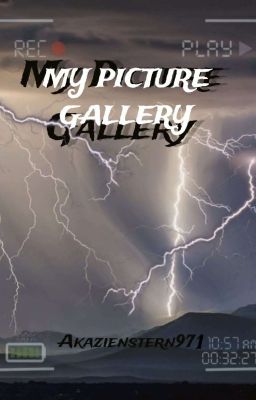 My Picture Gallery