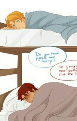 My random life