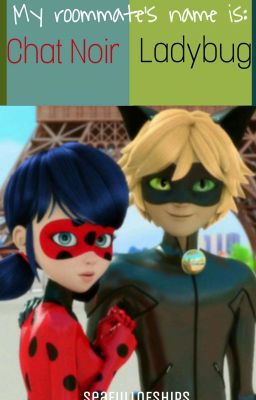 My roomate's name is: | Ladynoir