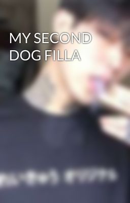 MY SECOND DOG FILLA