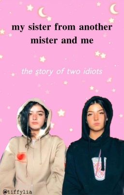 My sister from another mister and me -  the storys of two idiots 