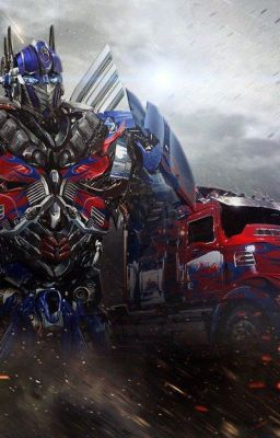 My Transformer Adventure