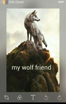 my wolf friend