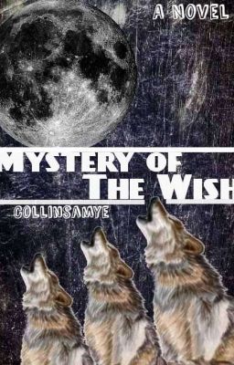 Mystery of the Wish