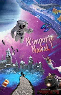 N'importe Nawak !