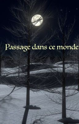 {n} Passage dans ce monde