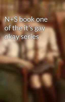 N+S book one of the it's gay okay series 