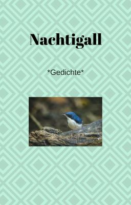 Nachtigall