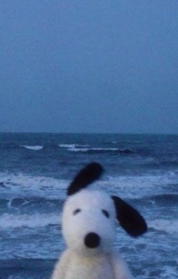 [NaibCarl] Burnt toast theory