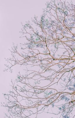 NĂM THÁNG ĐÃ QUA