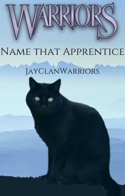 name that apprentice