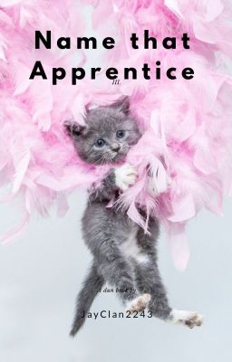 Name that Apprentice