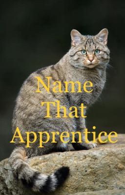 Name that Apprentice!