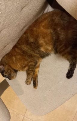 Name that Apprentice!