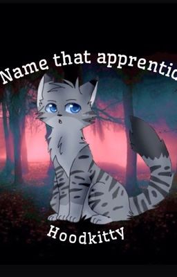 Name that apprentice!