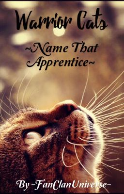 *-Name That Apprentice!-*