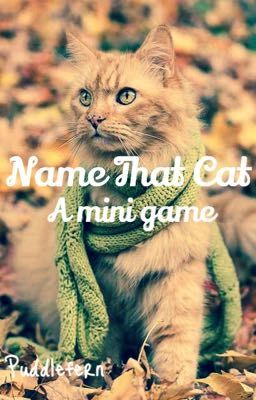 Name That Cat! (A mini game)