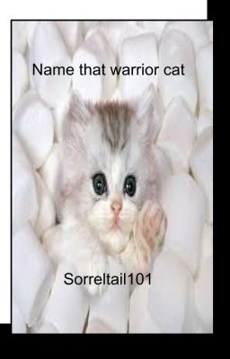 Name that warrior cat