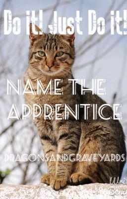 Name The Apprentice (Do It! Just Do It!)