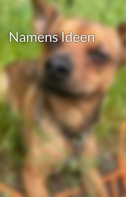 Namens Ideen 