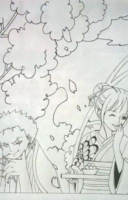 Nami x Zoro