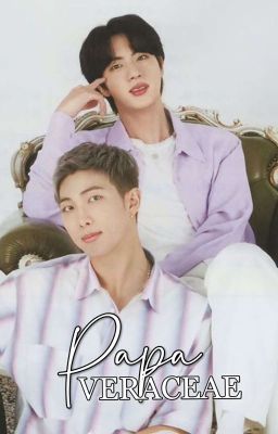 [Namjin] 𝐏𝐀𝐏𝐀𝐕𝐄𝐑𝐀𝐂𝐄𝐀𝐄