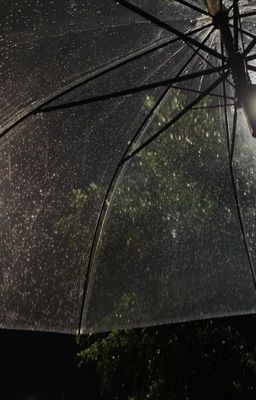 nắng ấm ngày đau