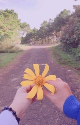 {Nắng Gắt Cũng Tàn} |[STORY 2]| 🌻