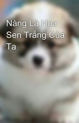 Nàng Là Hoa Sen Trắng Của Ta