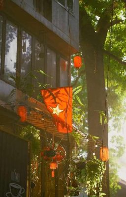 Nắng Vàng Ngày Hạ