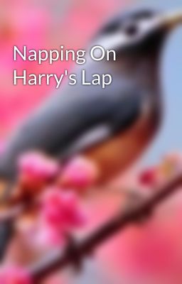 Napping On Harry's Lap