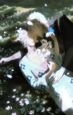 【NARUTO dj】 Đi Konoha tảo mộ có hay không cái gì những việc cần chú ý