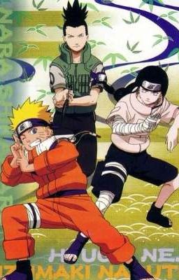 Naruto, Shikamaru y neji en un mismo equipo