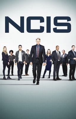 NCIS Ships