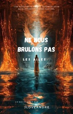 Ne nous brûlons pas les ailes... ( Terminée )