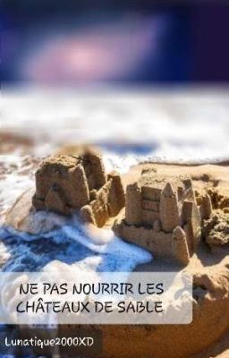 NE PAS NOURRIR LES CHÂTEAUX DE SABLE