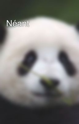 Néant 