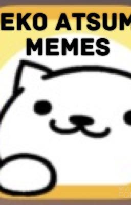 Neko Atsume Memes