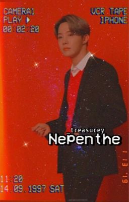 Nepenthe || Jung Hoseok