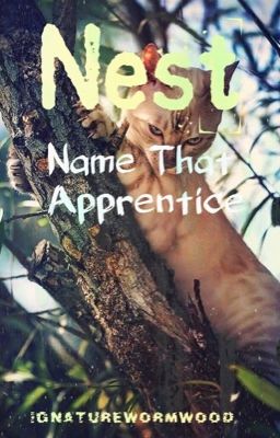 Nest ; Name The Apprentice [open]