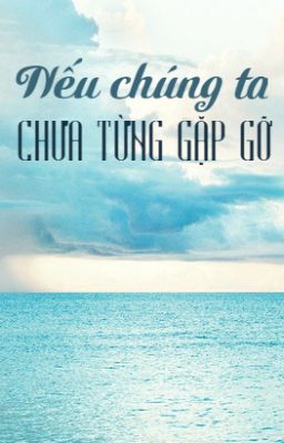 Nếu chúng ta chưa từng gặp gỡ