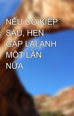 NẾU CÓ KIẾP SAU, HẸN GẶP LẠI ANH MỘT LẦN NỮA