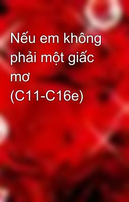 Nếu em không phải một giấc mơ (C11-C16e)