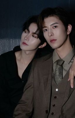 Nếu Hoa Vịnh thật sự là omega (CV)