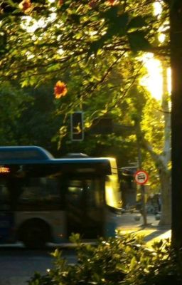 nếu ngày đó cậu đọc lá thư mình viết