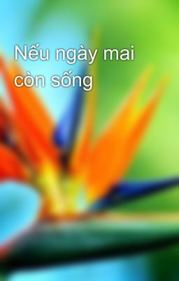 Nếu ngày mai còn sống