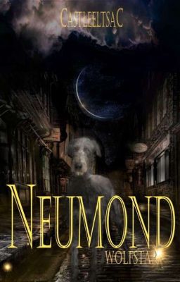 Neumond ~ Wolfstar