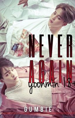 Never Again [Yoonmin 18+]