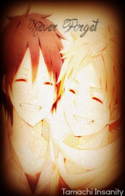 Never Forget .::Gray x Natsu Fairy Tail Fan Fiction::.