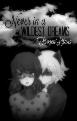 Never In a Wildest Dreams | LadyNoir